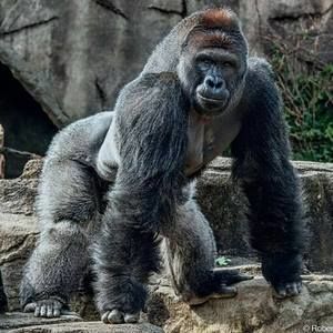 Meet your Posher, Edwin